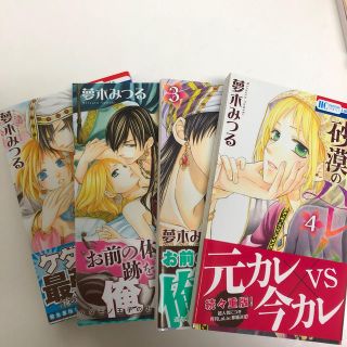 ハクセンシャ(白泉社)の【お値下げ】砂漠のハレム １〜4巻セット(少女漫画)