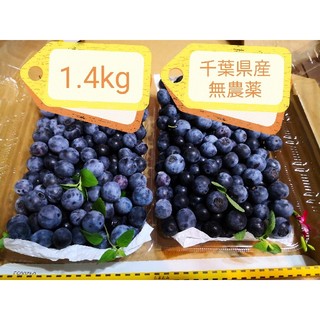 ブルーベリー 1.4kg 千葉県産 無農薬 完熟 ミント ミニ保冷剤入り(フルーツ)