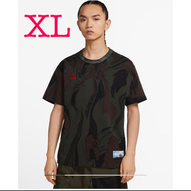 NIKE ACG Fuji Tシャツ　X LTシャツ/カットソー(半袖/袖なし)