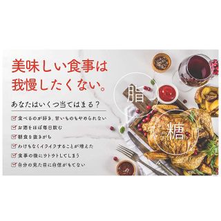 食事を楽しみませんか？　ターミナリアファースト　30回分(その他)