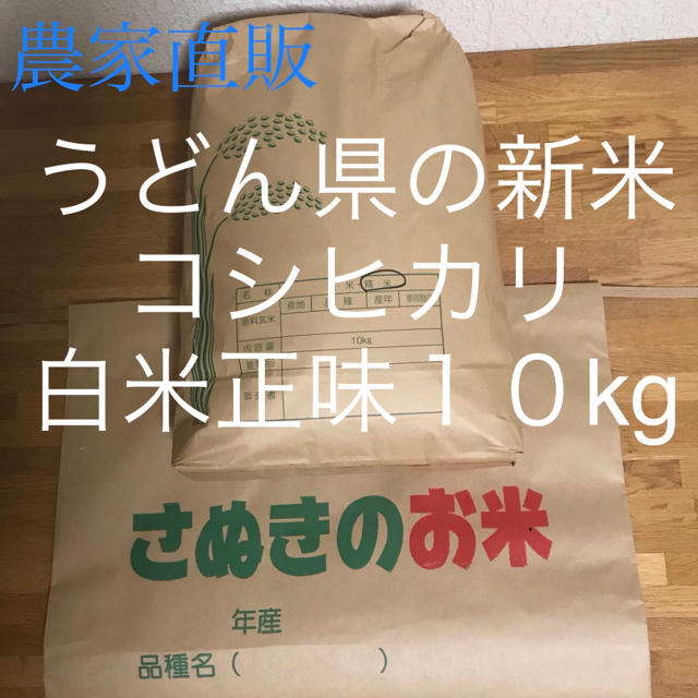 令和２年度　香川県産　米/穀物　コシヒカリ　白米10キロ