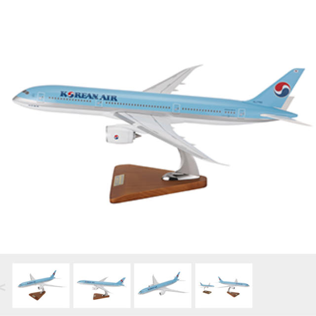 飛行機　模型飛行機　大韓航空　B787-800(1:100スケール)