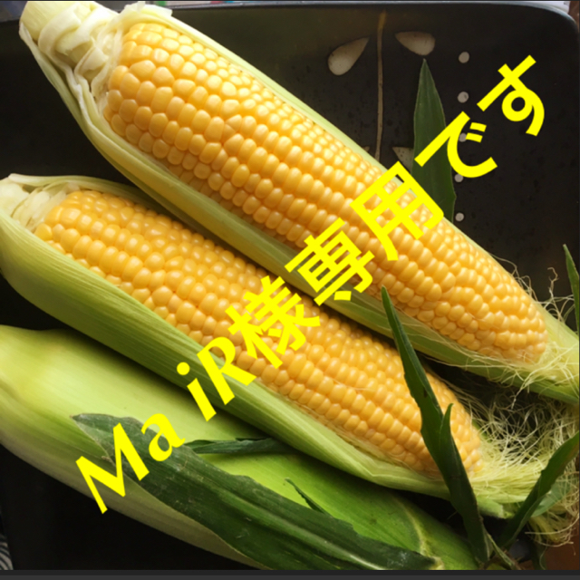 Ma iR様専用です! 春のコレクション 7427円 gredevel.fr-メルカリは誰