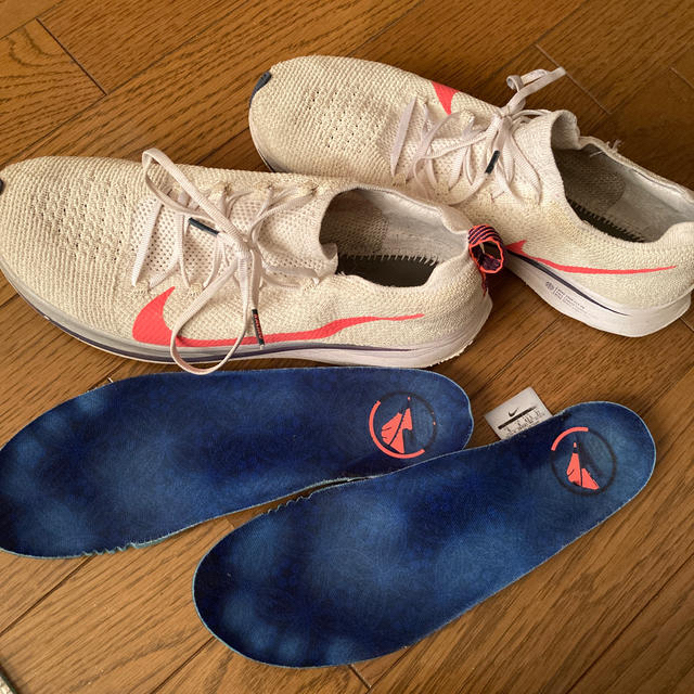 専用となります。NIKE/ZOOM SOLDIER VIII/27.5 送料込み