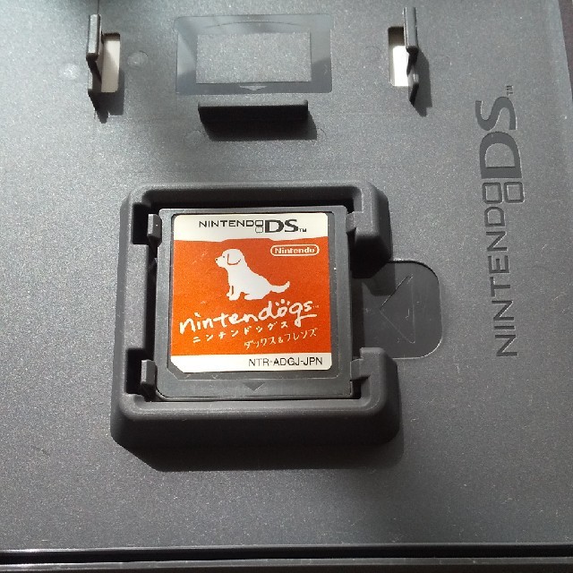 ニンテンドーDS(ニンテンドーDS)のnintendogs ニンテンドッグス 任天堂 DS エンタメ/ホビーのゲームソフト/ゲーム機本体(携帯用ゲームソフト)の商品写真