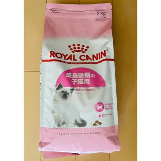 ロイヤルカナン(ROYAL CANIN)のロイヤルカナン　子猫用　2kg　未開封(ペットフード)