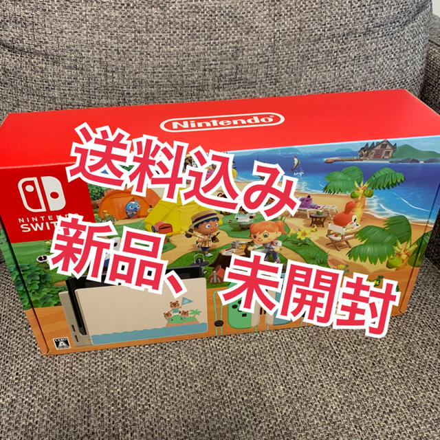 Nintendo Switch　ニンテンドースイッチ　あつまれどうぶつの森セット