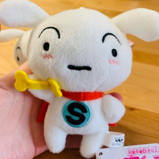 みー様専用　クレヨンしんちゃん　シロ　マスコット(キャラクターグッズ)