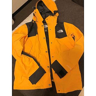 ザノースフェイス(THE NORTH FACE)の★The North Face ザノースフェイス★ゴアテックダウンジャケット(ダウンジャケット)