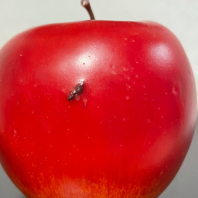 りんご　オブジェ・食品サンプル