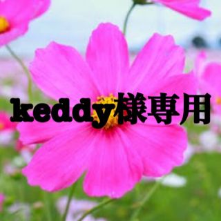 カルディ(KALDI)のkeddy様専用ページ(レトルト食品)