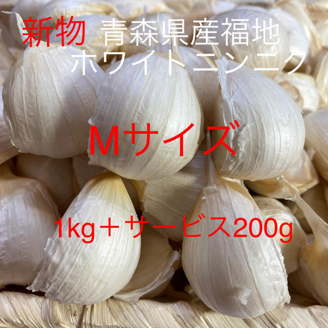 新物　青森県産福地ホワイトニンニク　Mサイズ1200g 食品/飲料/酒の食品(野菜)の商品写真