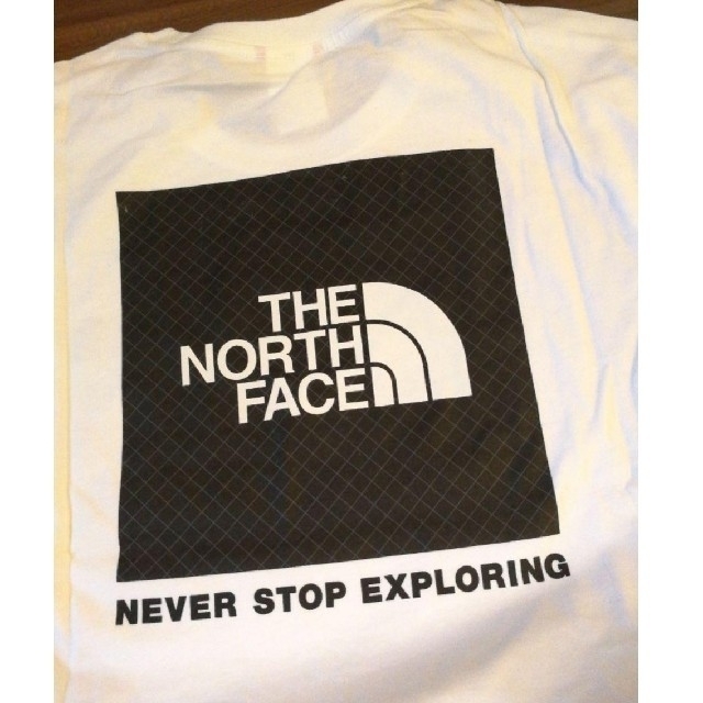 THE NORTH FACE(ザノースフェイス)のノースフェイス バックリフレクティブロゴ ロンT 海外Mサイズ メンズのトップス(Tシャツ/カットソー(七分/長袖))の商品写真