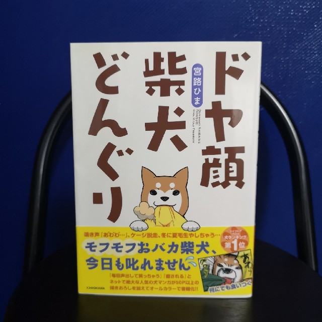 ドヤ顔柴犬どんぐり エンタメ/ホビーの漫画(4コマ漫画)の商品写真