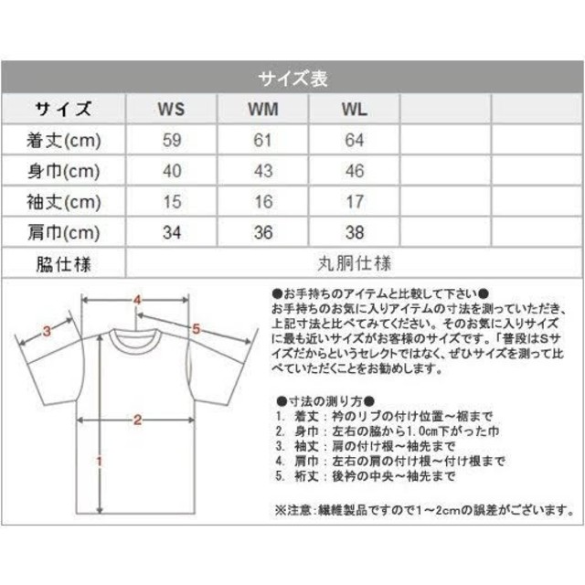 在庫限り値下げ　craftsman レディースTシャツ WMサイズ 005 レディースのトップス(Tシャツ(半袖/袖なし))の商品写真