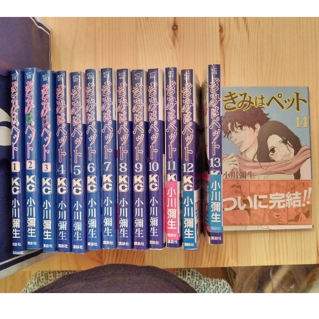 講談社(コウダンシャ)のきみはペット １～１４巻　全巻セット エンタメ/ホビーの漫画(少女漫画)の商品写真