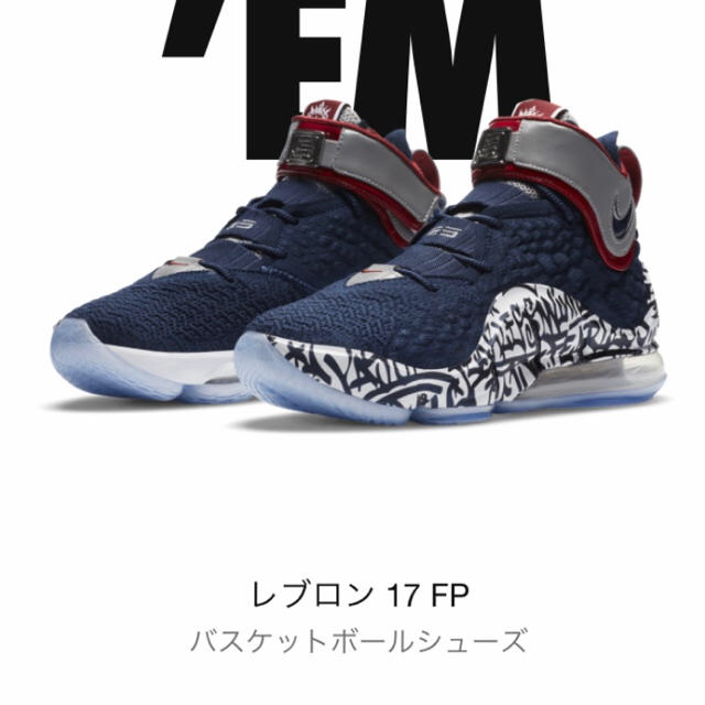 レブロン 17 FP NIKE 26cm