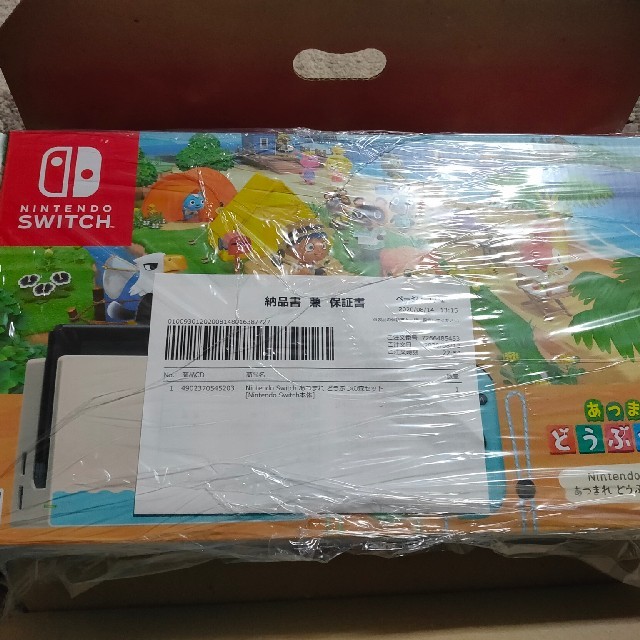 Nintendo Switch あつまれどうぶつの森セット