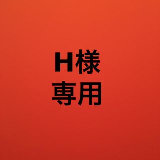 H様専用(その他)
