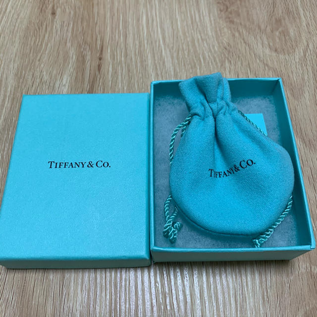 Tiffany & Co.(ティファニー)のTIFFANY&Co. リボンモチーフペンダント　ネックレス レディースのアクセサリー(ネックレス)の商品写真
