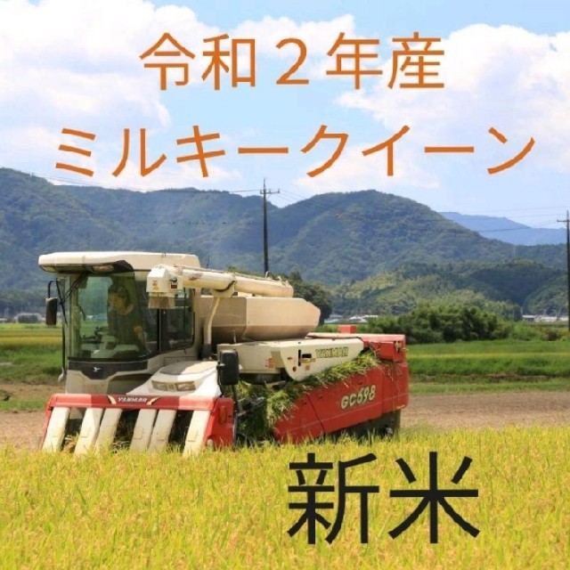 令和２年産　ミルキークイーン白米10キロ