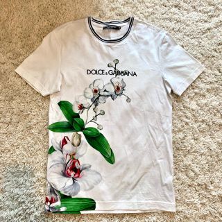 ドルチェアンドガッバーナ(DOLCE&GABBANA)のDOLCE & GABBANA Tシャツ(Tシャツ/カットソー(半袖/袖なし))