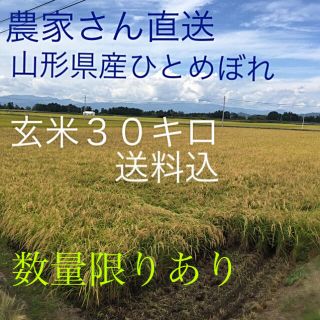 令和元年 山形産ひとめぼれ  30キロ玄米 農家直送おいしいお米(米/穀物)