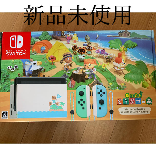 Nintendo Switch あつまれどうぶつの森セット