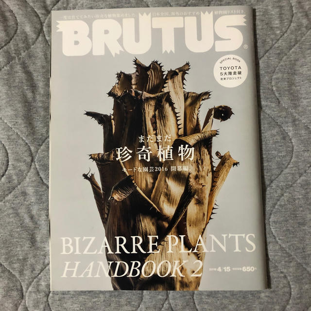 BRUTUS (ブルータス) 2016年 4/15号 エンタメ/ホビーの雑誌(その他)の商品写真