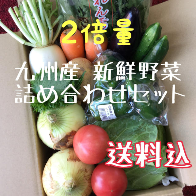 九州産　新鮮野菜　詰め合わせセット　2倍量 食品/飲料/酒の食品(野菜)の商品写真