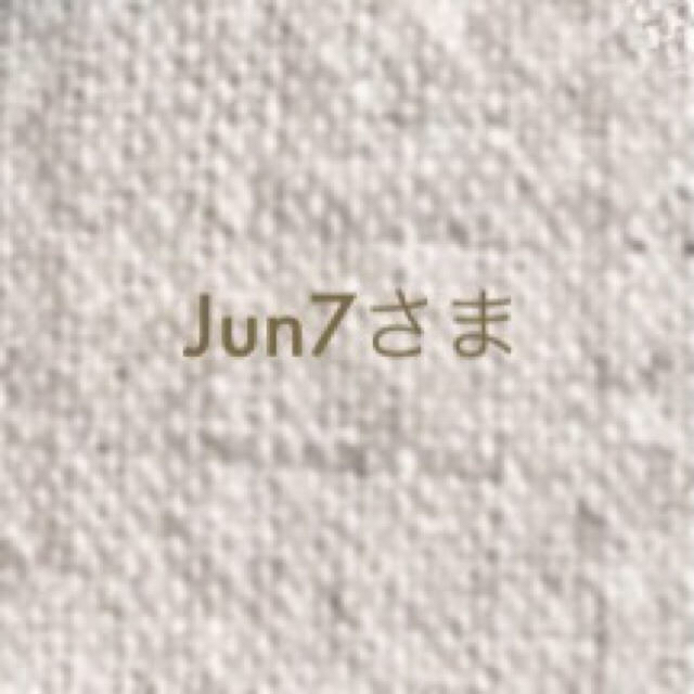Jun7さま ハンドメイドのアクセサリー(ネックレス)の商品写真
