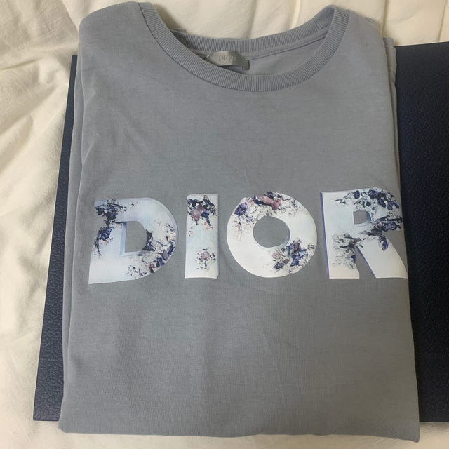 Dior×Daniel Arsham Tシャツ