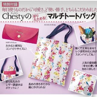 チェスティ(Chesty)のchesty マルチトートバッグ　エコバック(エコバッグ)