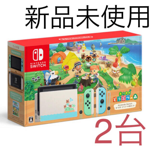 Nintendo Switch - 任天堂スイッチ　どうぶつの森セット　二台セット