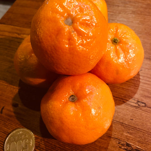ハニーマンダリンオレンジ5kg 訳あり激安　全国送料無料 食品/飲料/酒の食品(フルーツ)の商品写真