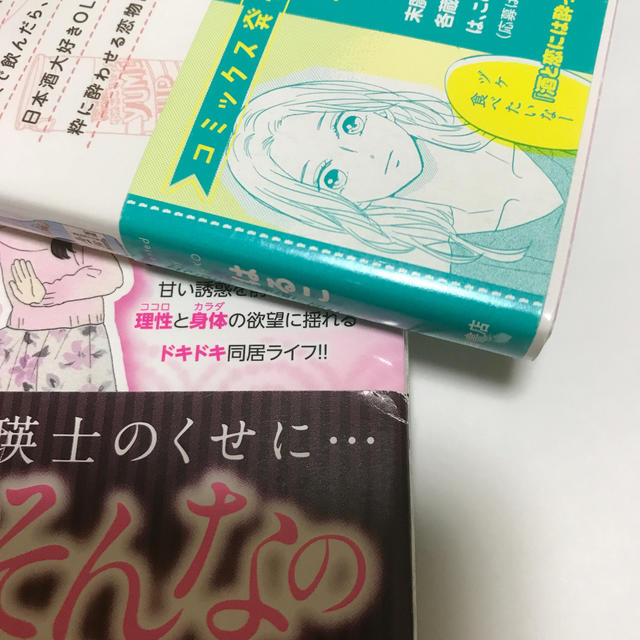 秋田書店(アキタショテン)の【専用】幼なじみは横綱サマ！ エンタメ/ホビーの漫画(女性漫画)の商品写真