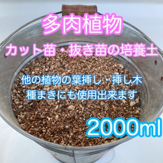 多肉植物の土 サボテンの土 多肉植物用土 2000ml(その他)