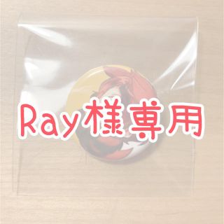 Ray様専用　缶バッヂ(アイドルグッズ)