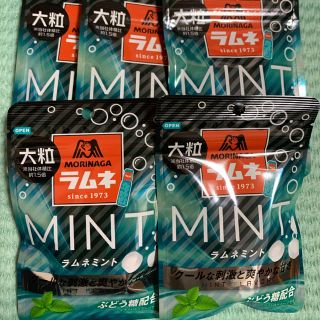 モリナガセイカ(森永製菓)の森永 大粒ラムネ ミント 5袋(菓子/デザート)