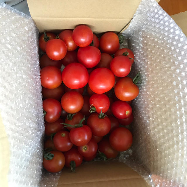 中玉トマトラブリー　1.8kg 食品/飲料/酒の食品(野菜)の商品写真