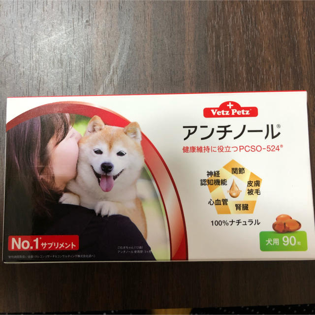 アンチノール　犬　新品未開封