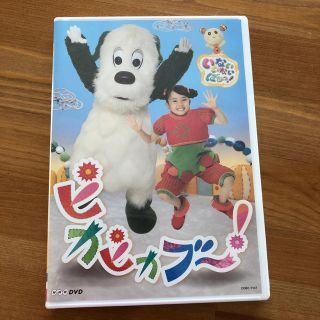 NHKDVD　いないいないばあっ！　ピカピカブ～！ DVD(キッズ/ファミリー)