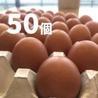 蔵王鶏園の「眠れる森のたまご」(野菜)