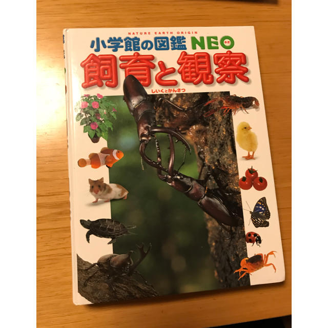 小学館(ショウガクカン)の飼育の観察　小学館の図鑑NEO エンタメ/ホビーの本(絵本/児童書)の商品写真