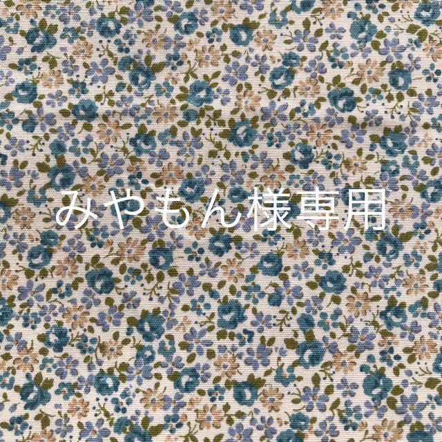 みやもんさま専用◡̈⃝︎⋆︎*