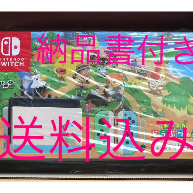 Nintendo Switch - Switch どうぶつの森 セット