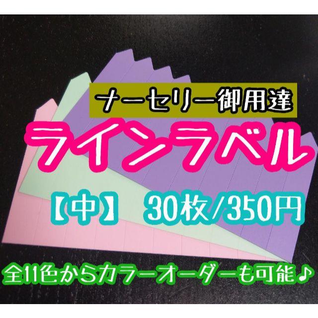 ◎30枚◎（中）選べるカラー ラインラベル 園芸ラベル カラーラベル ハンドメイドのフラワー/ガーデン(その他)の商品写真