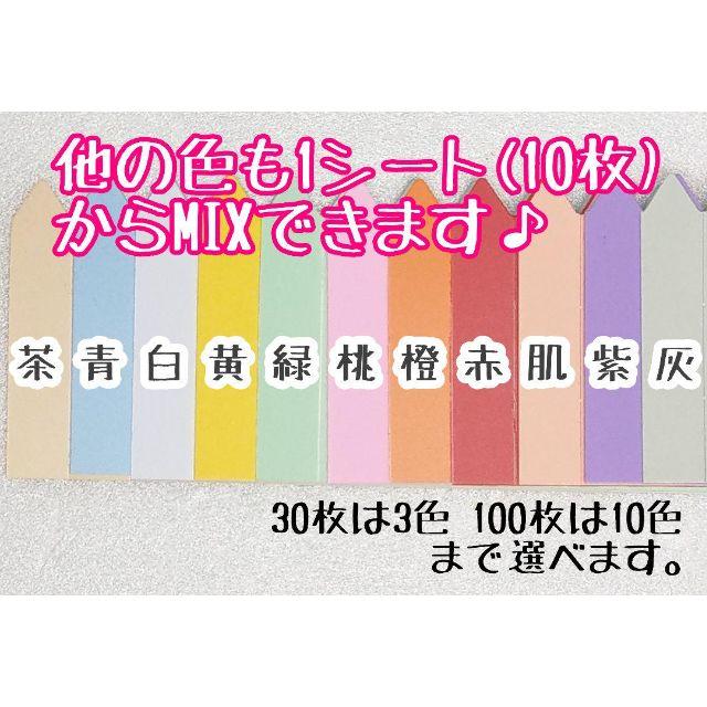 ◎30枚◎（中）選べるカラー ラインラベル 園芸ラベル カラーラベル ハンドメイドのフラワー/ガーデン(その他)の商品写真