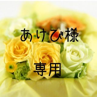 あけび様専用  お米　令和元年　愛媛県産ヒノヒカリ　玄米　30㎏(米/穀物)