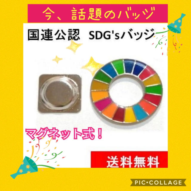 【今、話題！！】国連SDGsバッジ（マグネット式） エンタメ/ホビーのアニメグッズ(バッジ/ピンバッジ)の商品写真